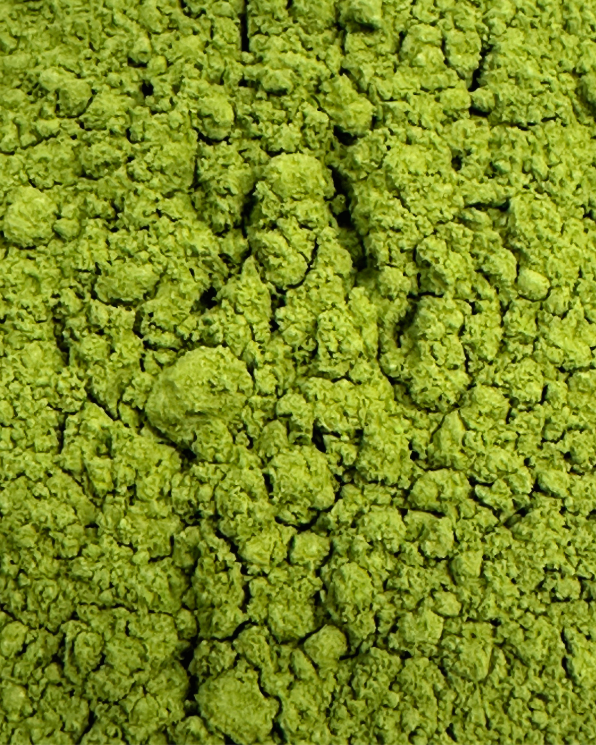 Matcha Shizuoka – seremonialaatuinen matcha