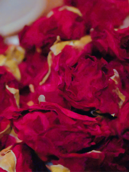 Mo Hong Rose