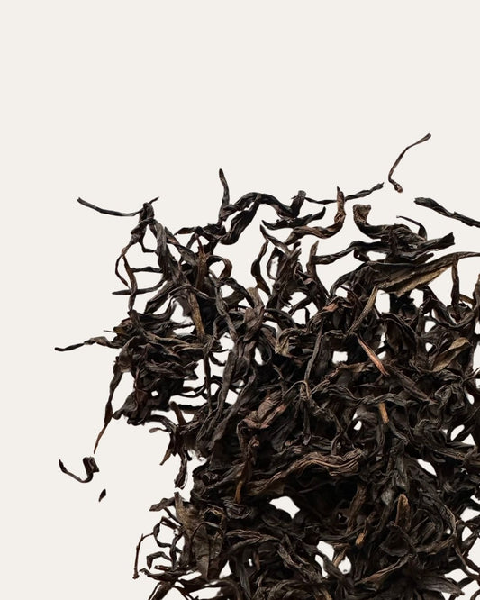 雷扣柴单丛乌龙茶