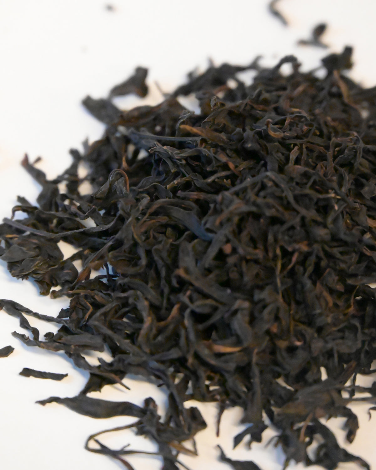 Song Zhong